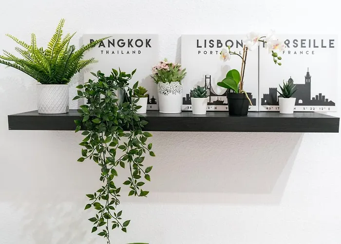 Svl - Sunny And Bright Apartment At Historical Center